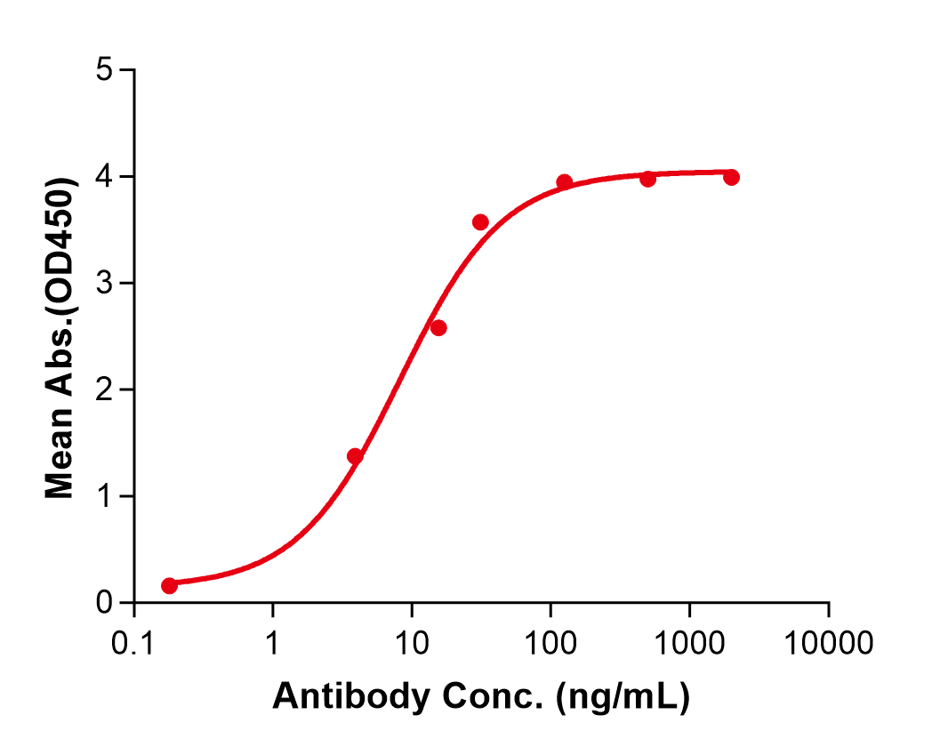 (Ifinatamab)Biosimilar Reference Antibody