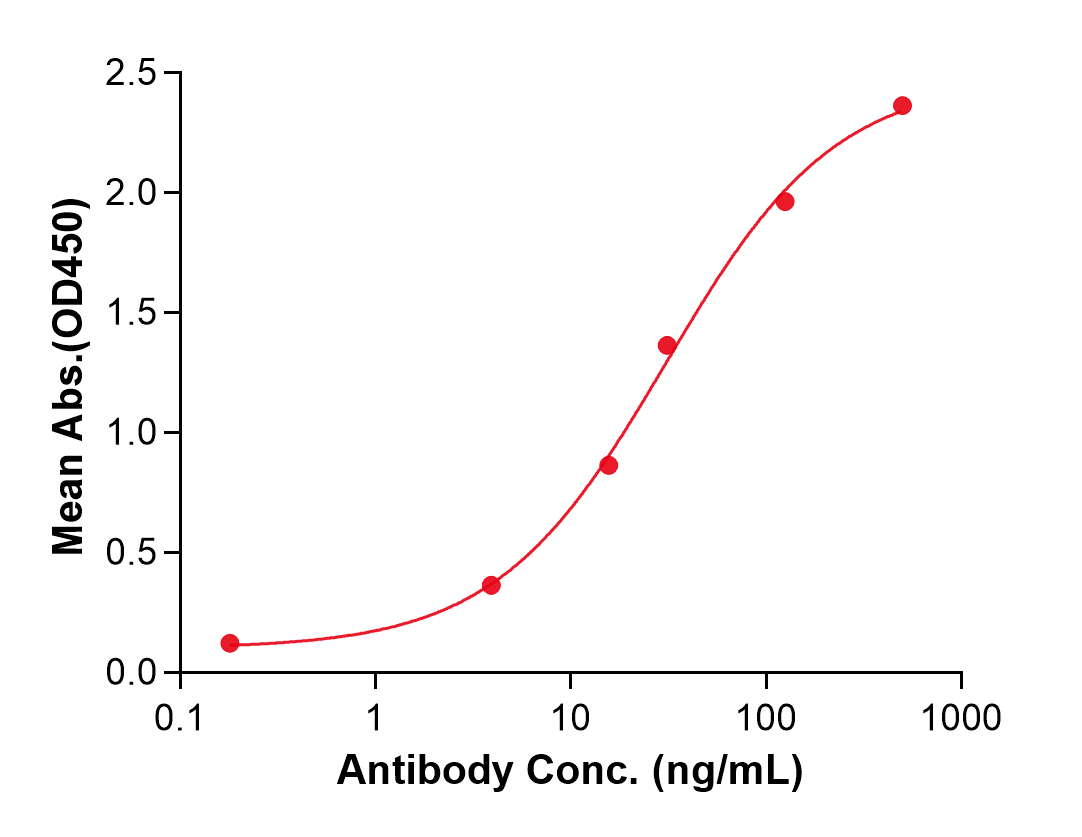 (Zilovertamab)Biosimilar Reference Antibody
