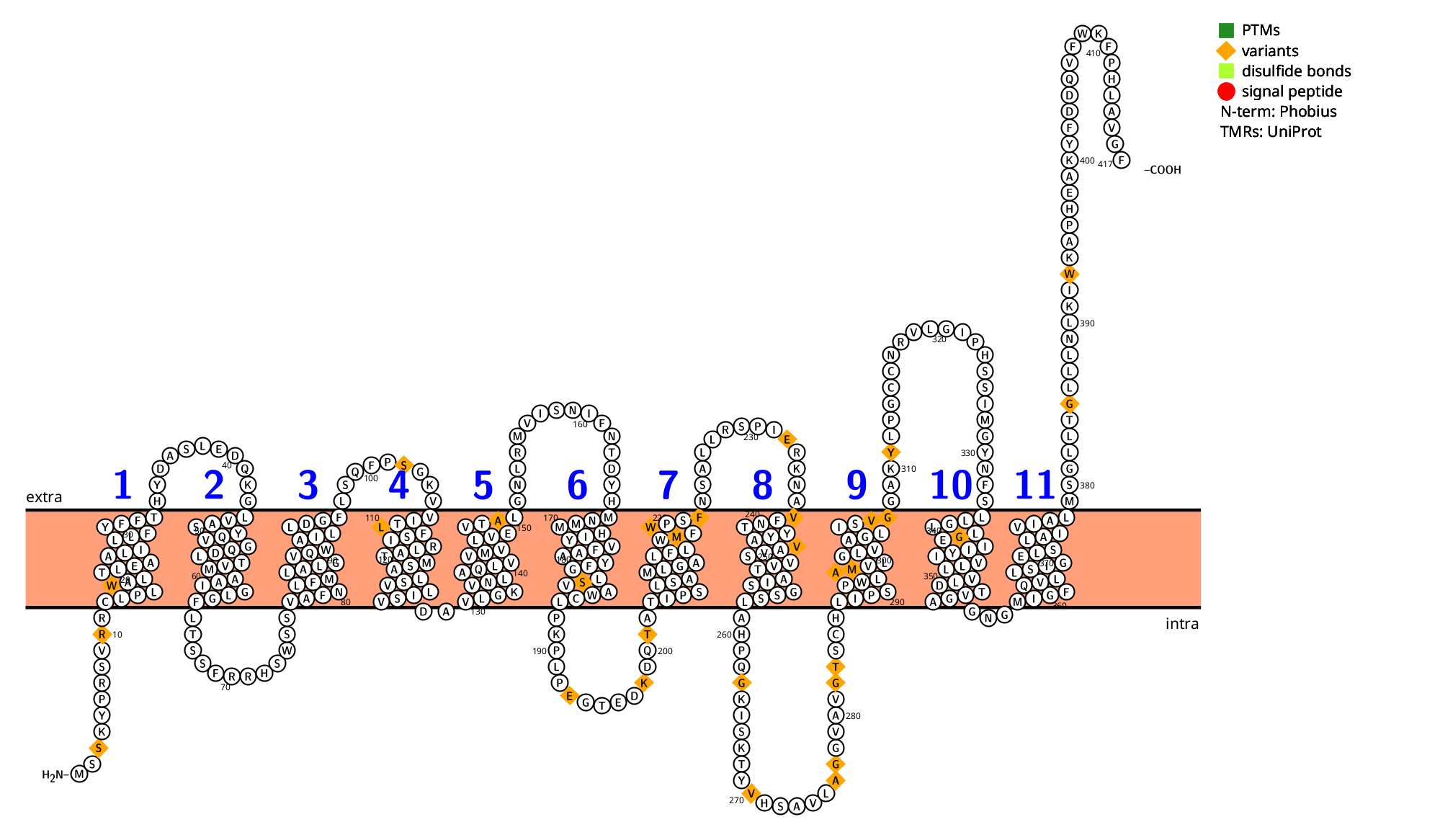 Blood Group Antigen RHD
