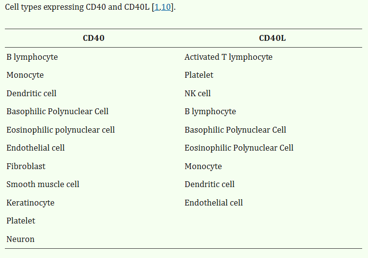 CD40 ligand CD154