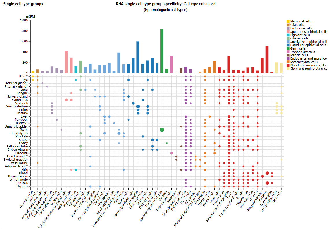 Cell death receptor TMEM219
