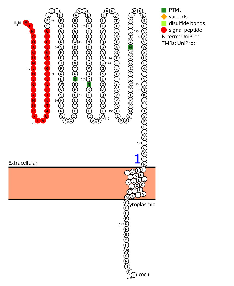 Cell death receptor TMEM219