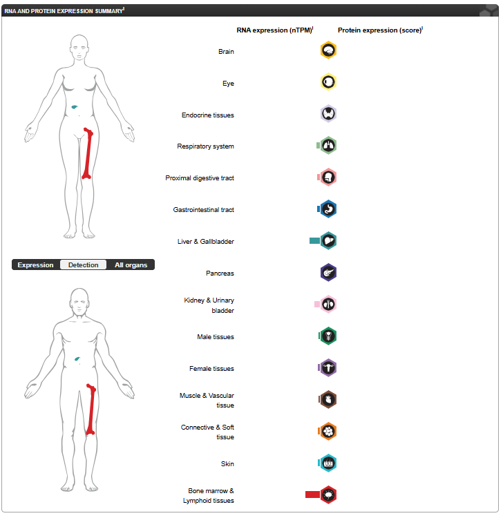 Cytokine receptor-like factor 2