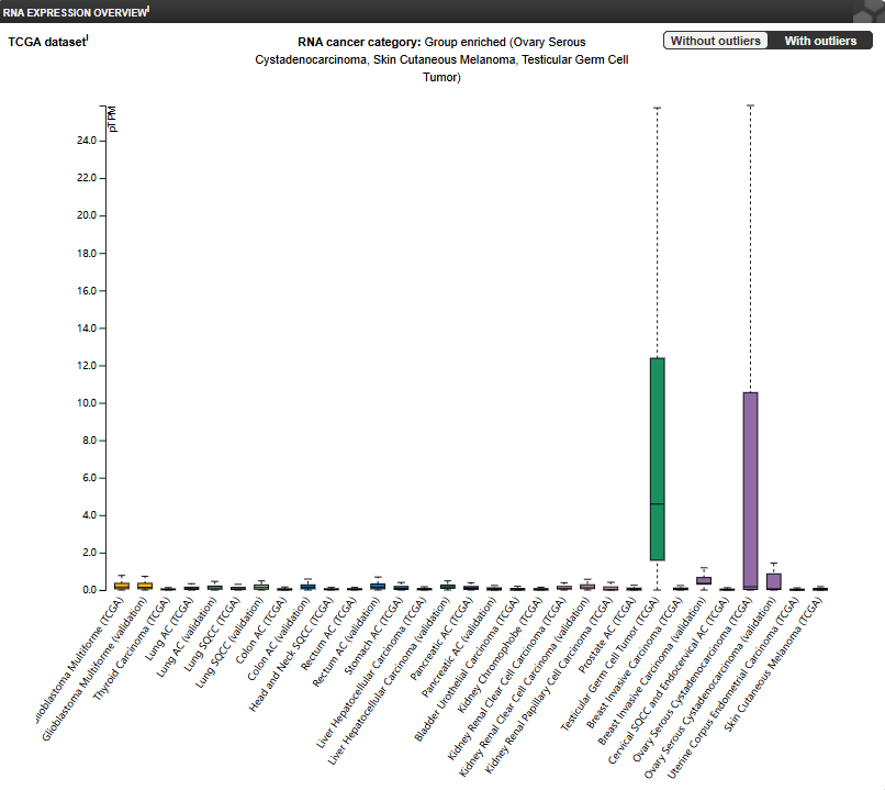 Dipeptidase DPEP3 Dipeptidase DPEP3