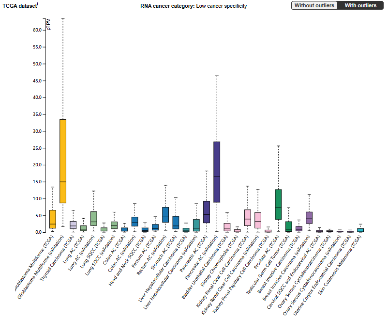Ephrin type-A receptor 3 Ephrin type-A receptor 3