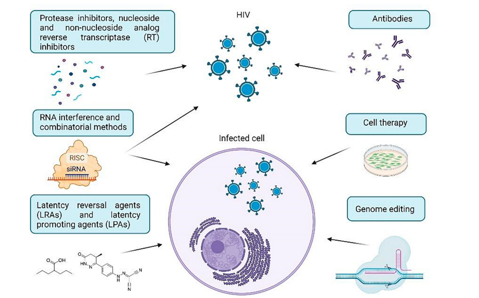 Human Immunodeficiency Virus HIV-1 Human Immunodeficiency Virus HIV-1