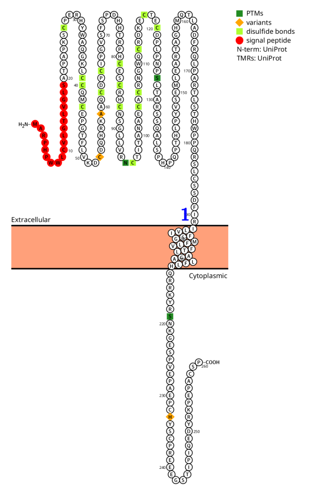 Immune cells costimulate the immune checkpoint receptor CD27