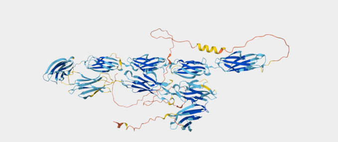 Immunotherapeutic target FCRL5