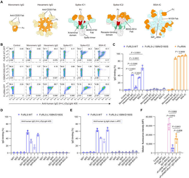 Immunotherapeutic target FCRL5