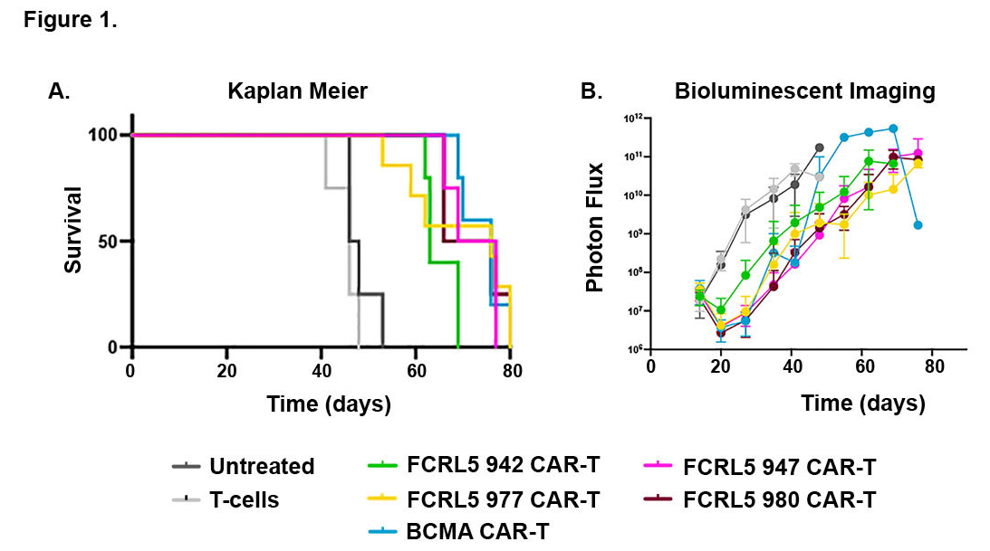 Immunotherapeutic target FCRL5