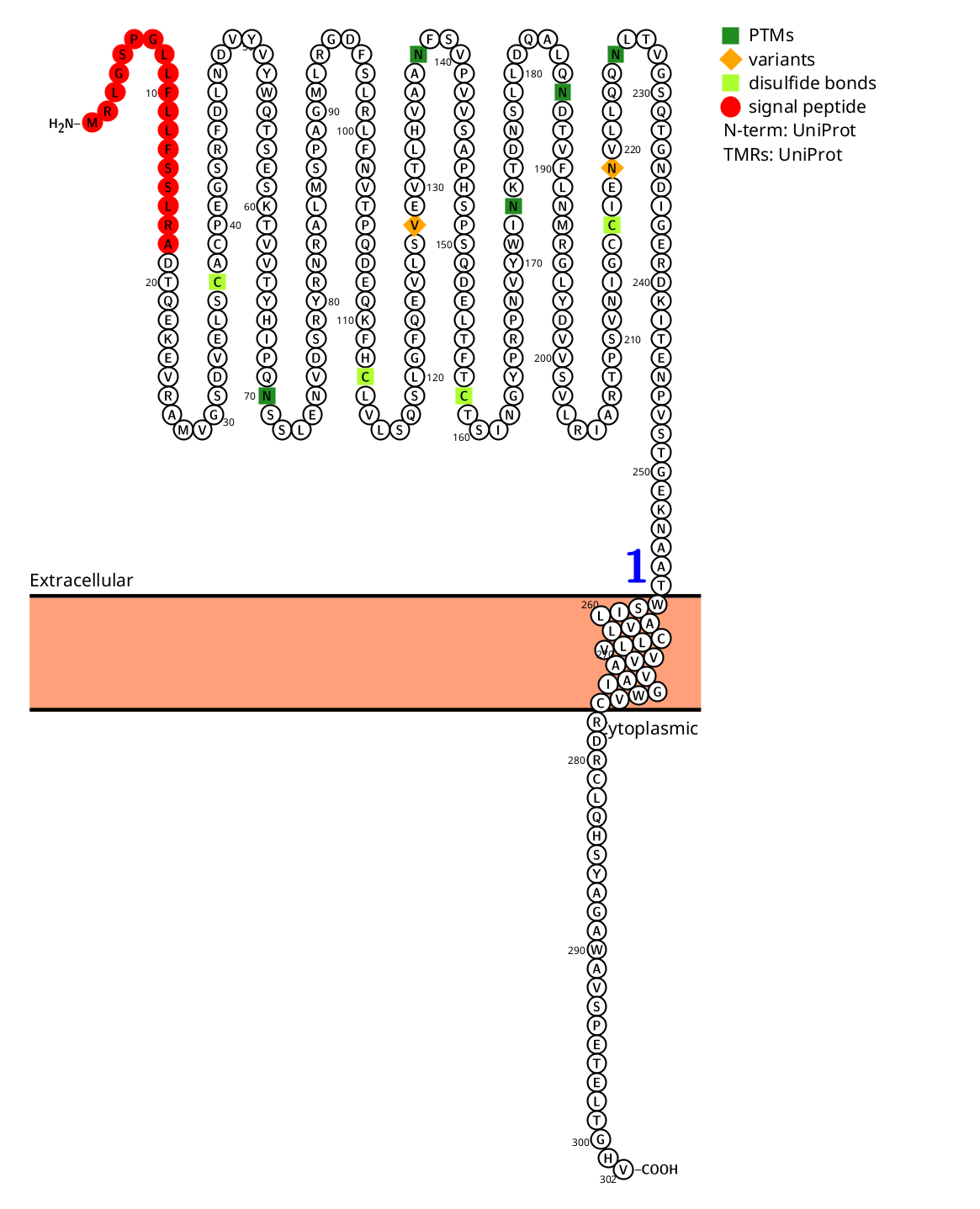 Inducible T-cells costimulate ligand ICOSLG