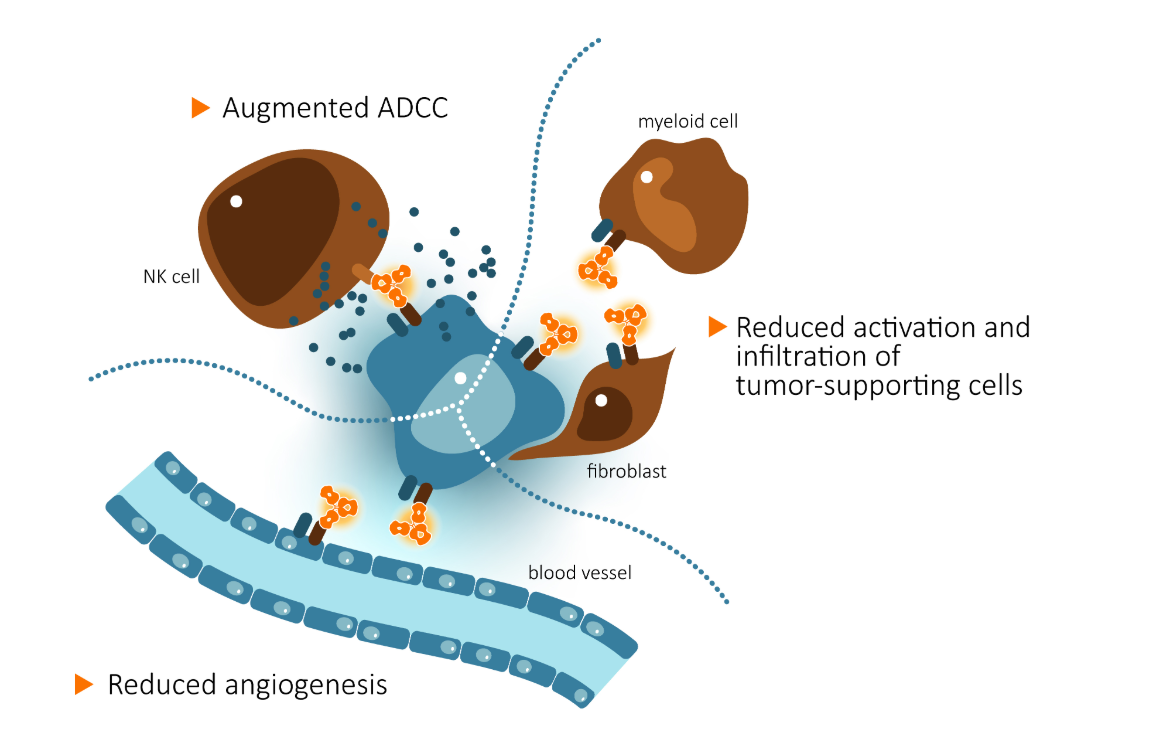 Inflammatory cytokine receptor IL1RAP Inflammatory cytokine receptor IL1RAP