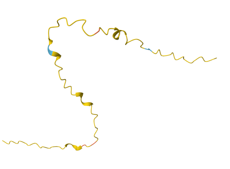 Kidney associated antigen KAAG1