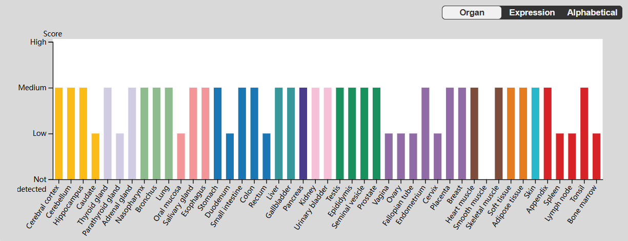 Leukemia inhibitory factor LIF Leukemia inhibitory factor LIF