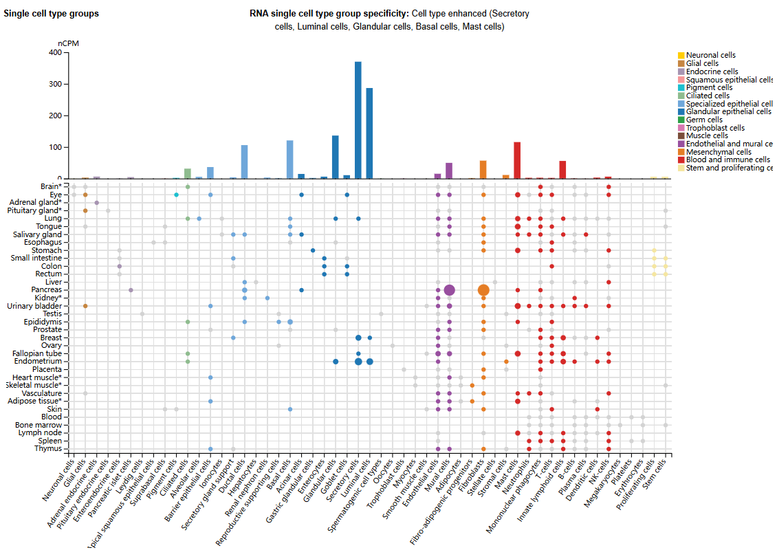 Leukemia inhibitory factor LIF Leukemia inhibitory factor LIF