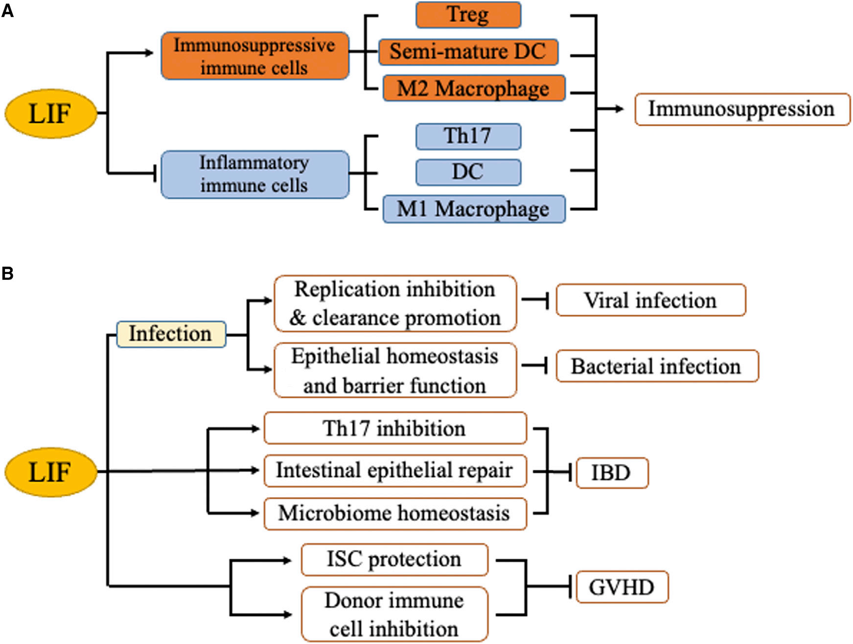 Leukemia inhibitory factor LIF Leukemia inhibitory factor LIF