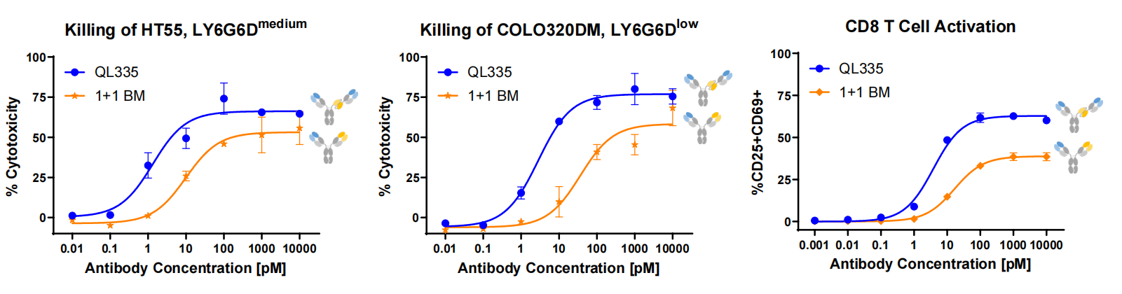 Lymphocyte antigen LY6G6D