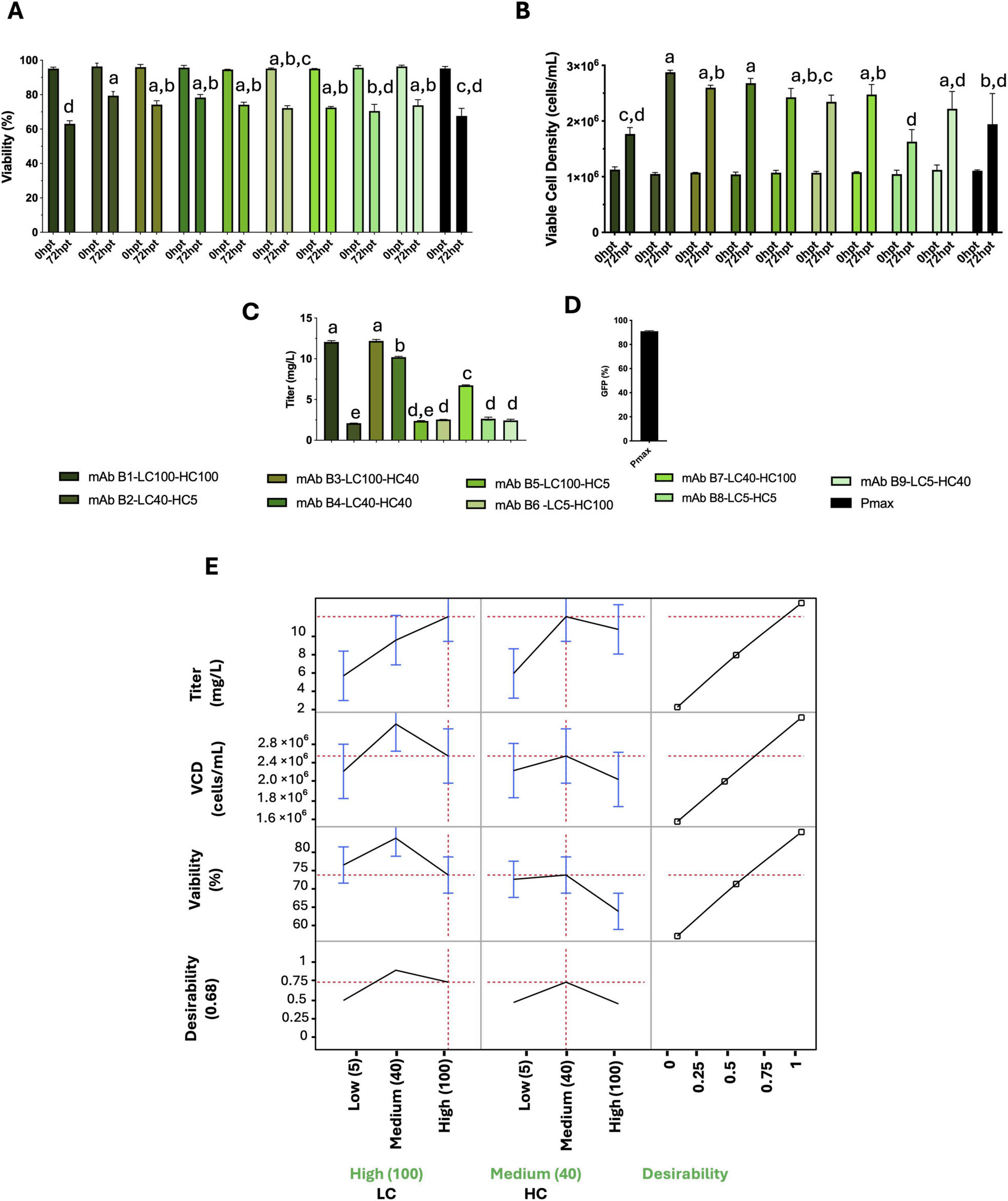 Optimization of antibody high-throughput production in CHO cells by regulating heavy and light chain promoters