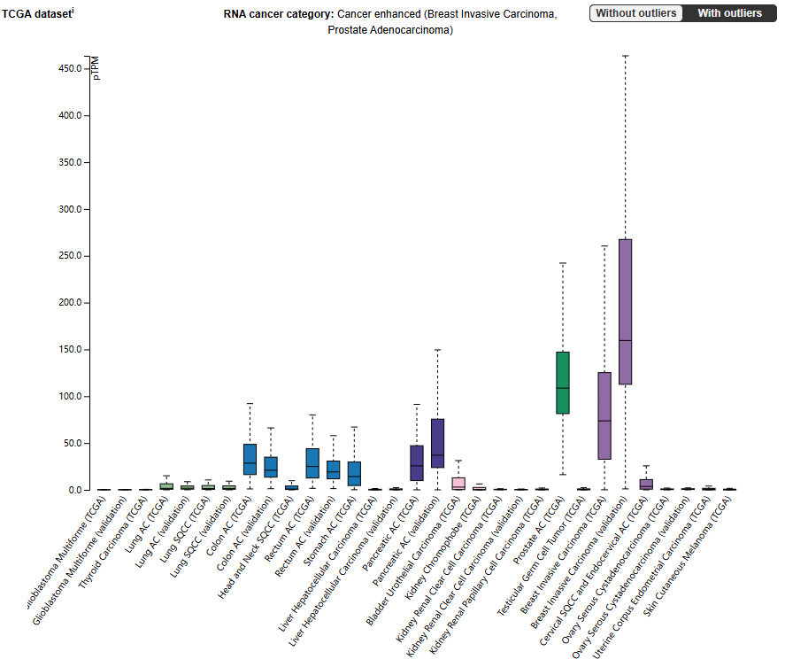 Pancreatic cancer therapeutic target PAUF