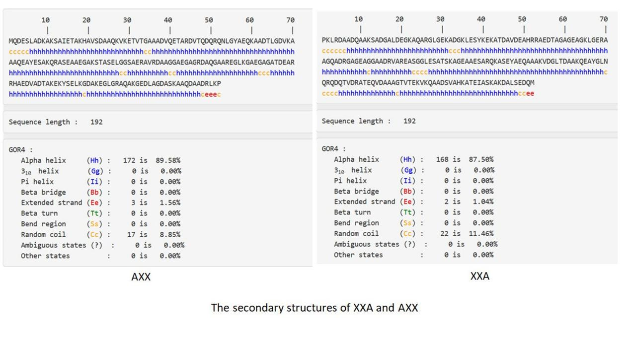 Retro-protein XXA is a remarkable solubilizing fusion tag for inclusion bodies Retro-protein XXA is a remarkable solubilizing fusion tag for inclusion bodies