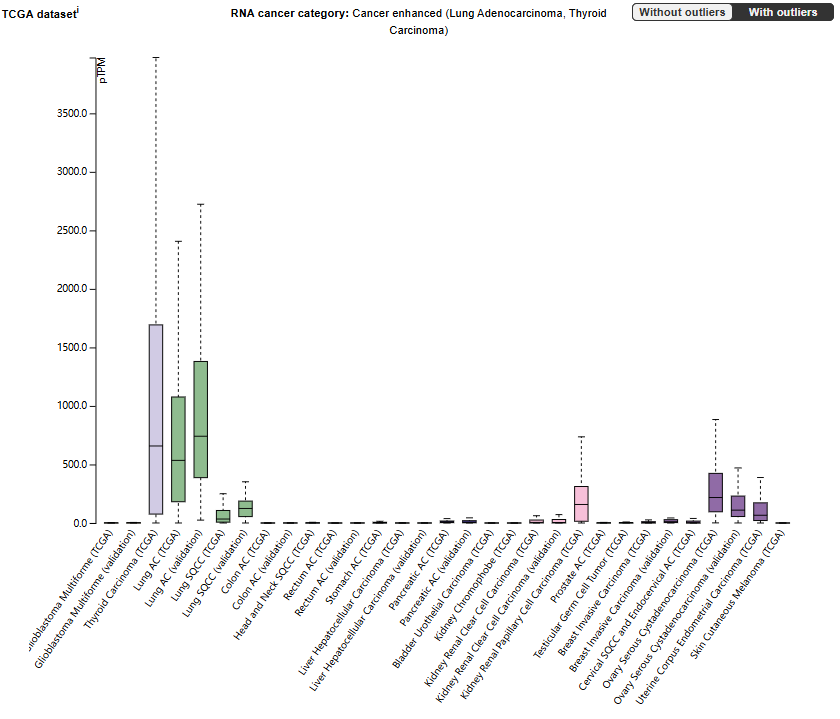 Sodium dependent phosphate transporter SLC34A2 Sodium dependent phosphate transporter SLC34A2