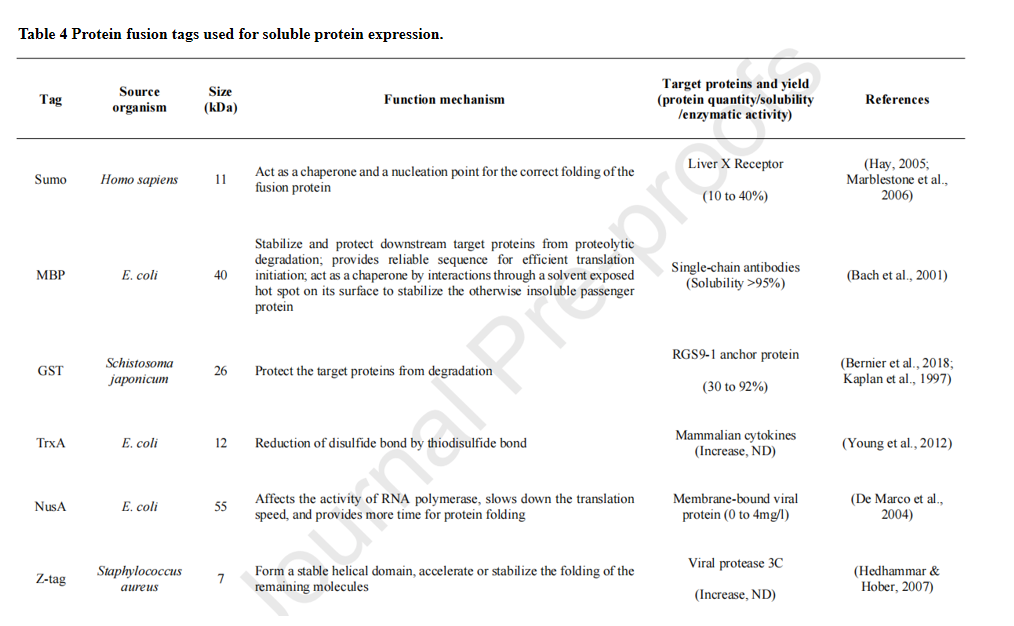 Strategies to enhance soluble expression of recombinant proteins