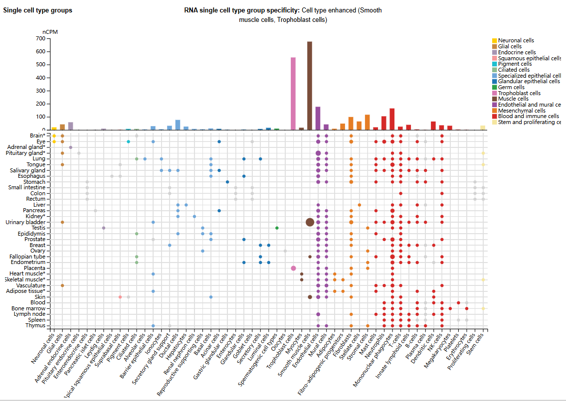 The bidirectional signaling integrin ITGA5B1 The bidirectional signaling integrin ITGA5B1