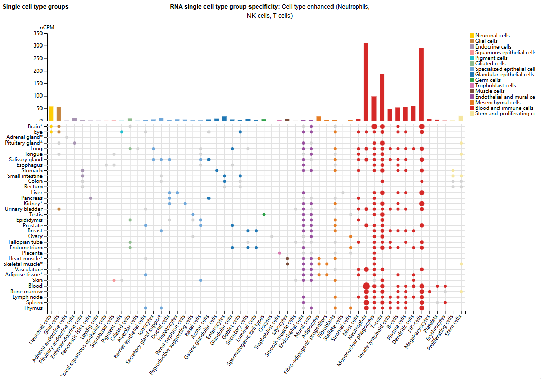 The integrin ITGAL