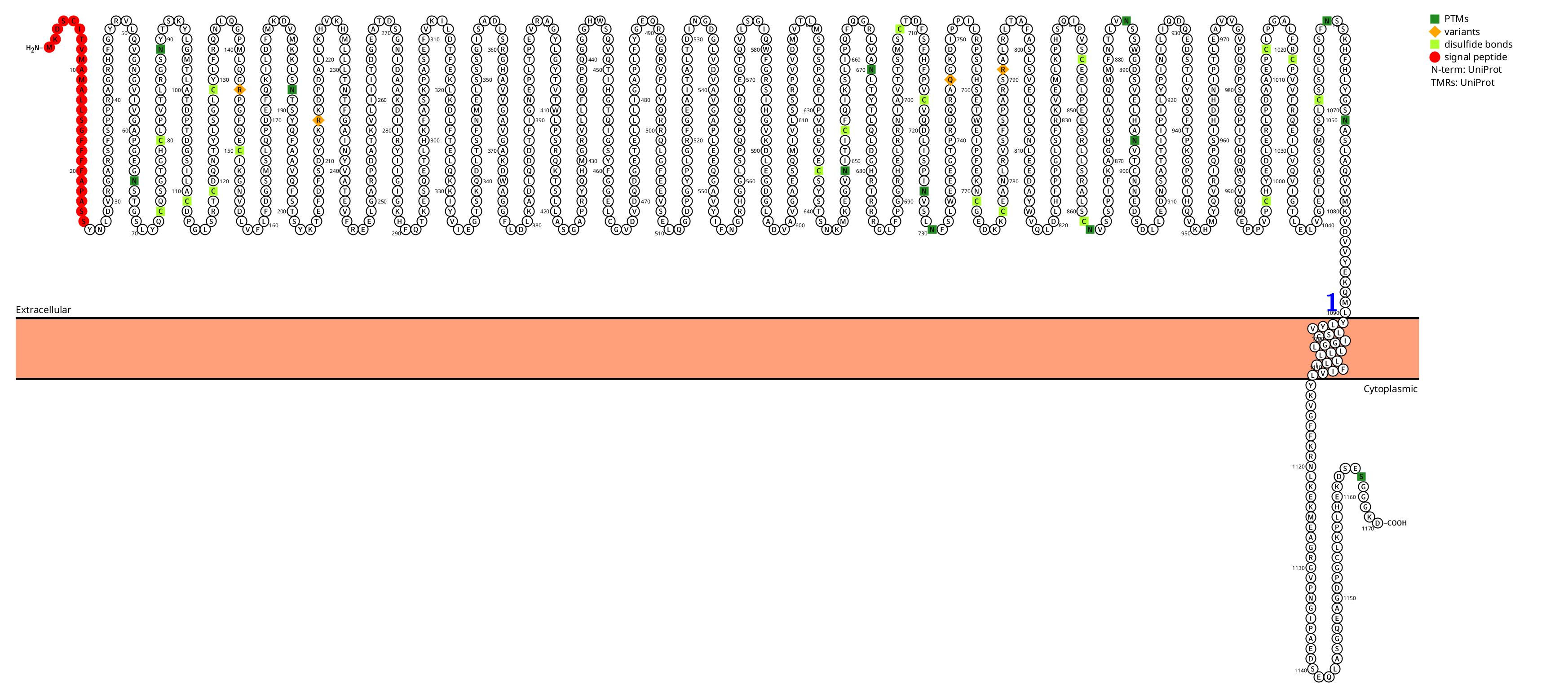 The integrin ITGAL