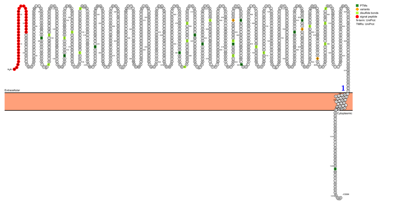 The integrin subunit ITGA4 The integrin subunit ITGA4