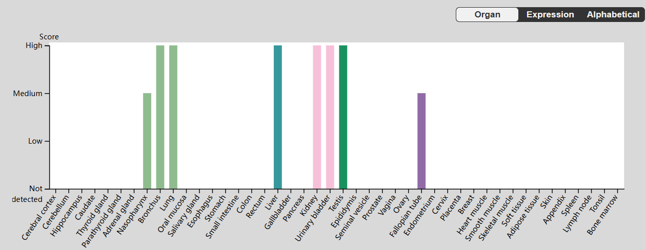 The key hub for inflammation regulation IL17R The key hub for inflammation regulation IL17R