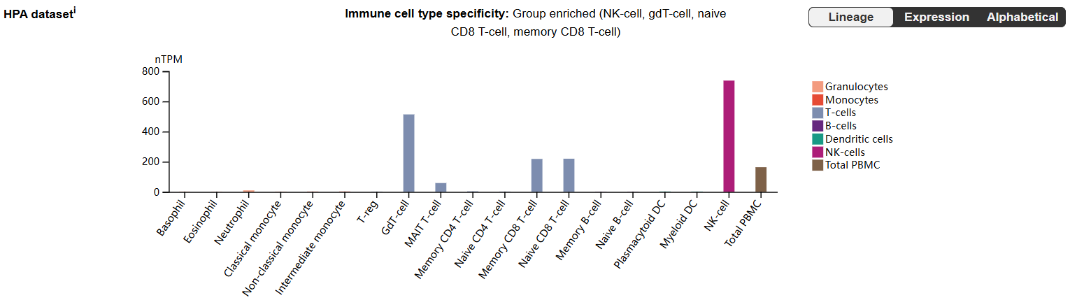 The natural killer cell receptor KLRD1