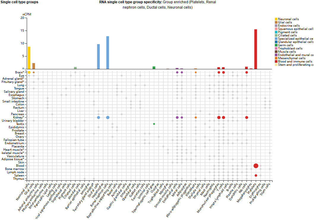 The platelet glycoprotein GP6 The platelet glycoprotein GP6