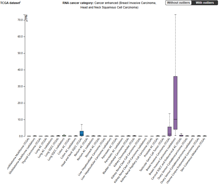 The proinflammatory cytokine IL20 The proinflammatory cytokine IL20