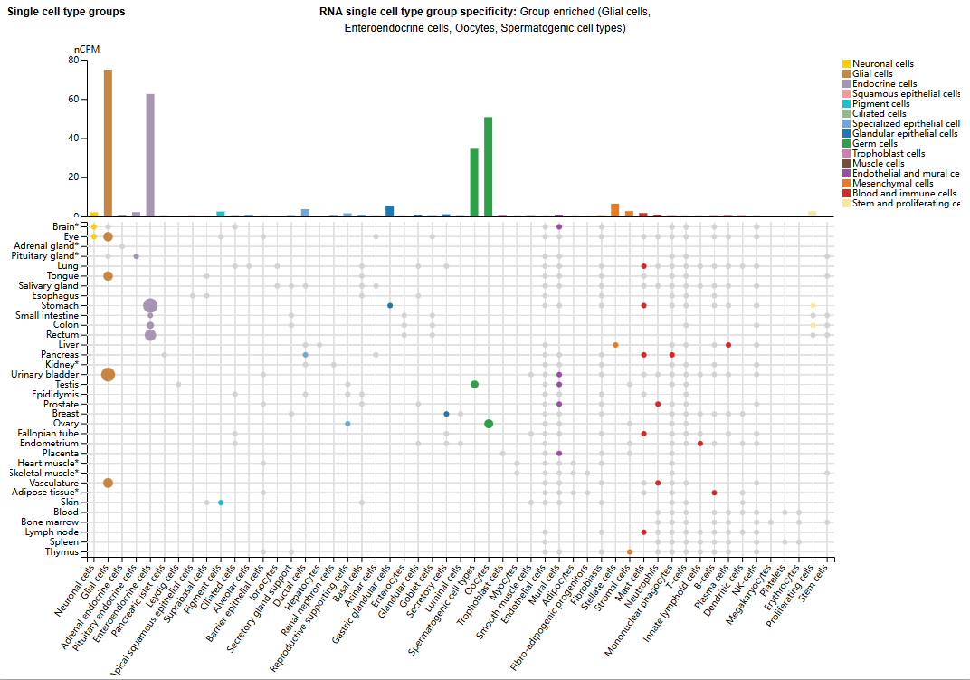 The therapeutic target of neuralgia GFRA3 The therapeutic target of neuralgia GFRA3