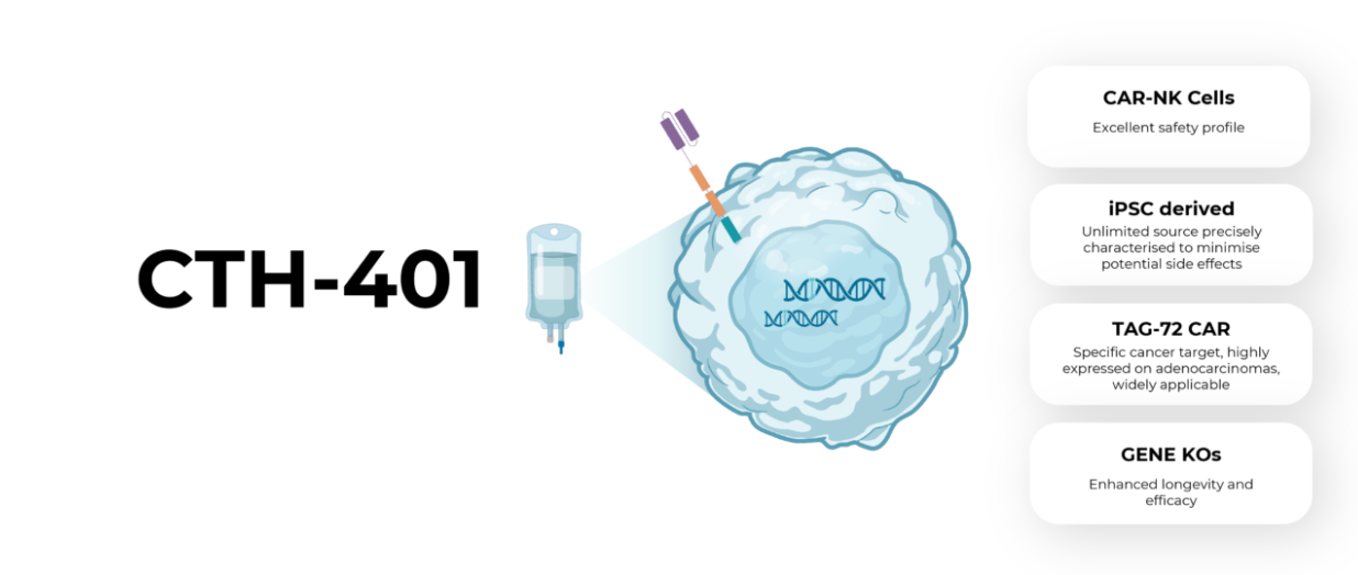 The tumor associated glycoprotein TAG-72 The tumor associated glycoprotein TAG-72
