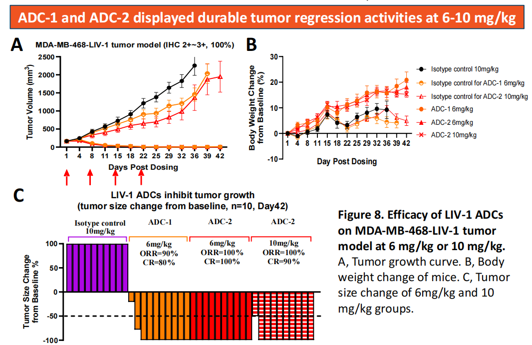 The zinc transporter SLC39A6