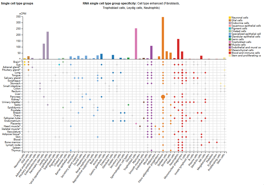 Tumor microenvironment regulatory factor INHBA Tumor microenvironment regulatory factor INHBA