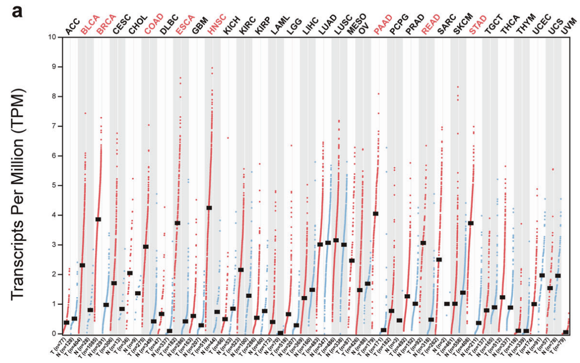 Tumor microenvironment regulatory factor INHBA Tumor microenvironment regulatory factor INHBA