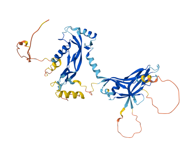 Tumor microenvironment regulatory factor INHBA Tumor microenvironment regulatory factor INHBA