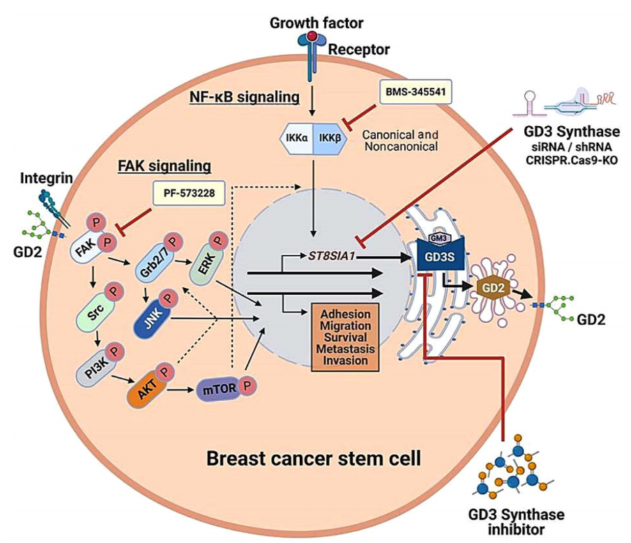 Tumor treatment target Ganglioside GD2 Tumor treatment target Ganglioside GD2