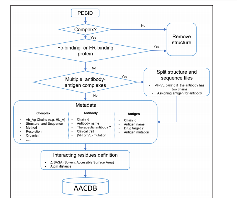 A comprehensive antigen-antibody complex database unlocking insights into interaction interface A comprehensive antigen-antibody complex database unlocking insights into interaction interface