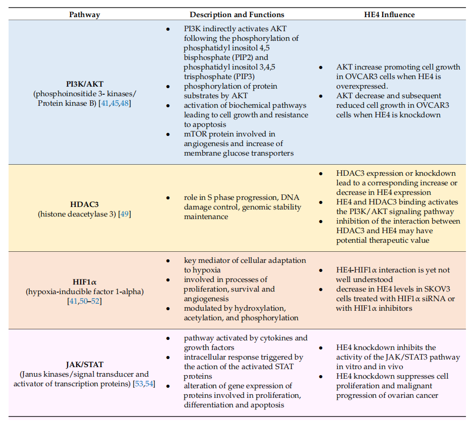 A new marker for ovarian cancer detection HE4