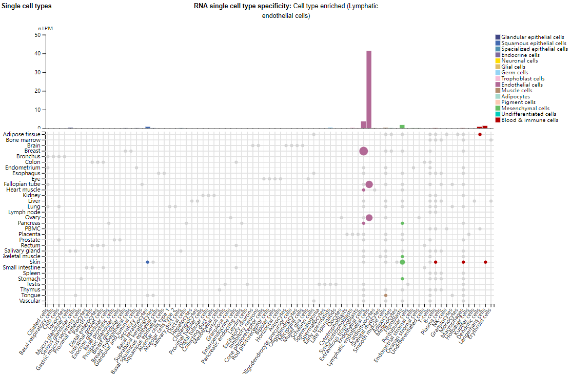 A novel target for ADC tumor therapy LRRC15