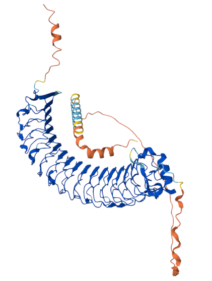 A novel target for ADC tumor therapy LRRC15