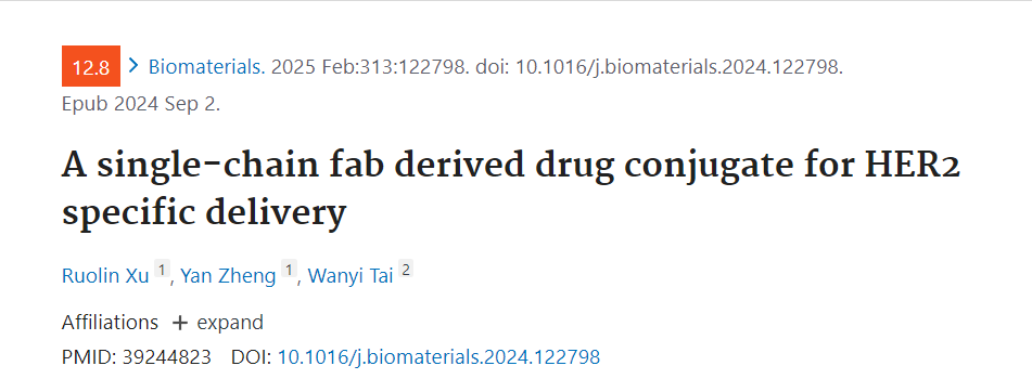 A single-chain fab derived drug conjugate for HER2 specific delivery
