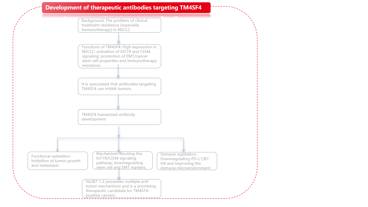 A therapeutic antibody targeting TM4SF4 with anti-tumor activity