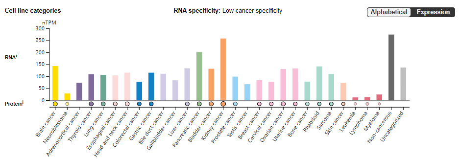ADAM9 is a new target for ADC anticancer therapy