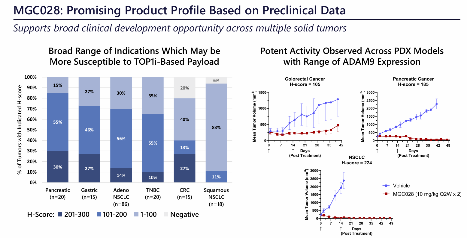ADAM9 is a new target for ADC anticancer therapy