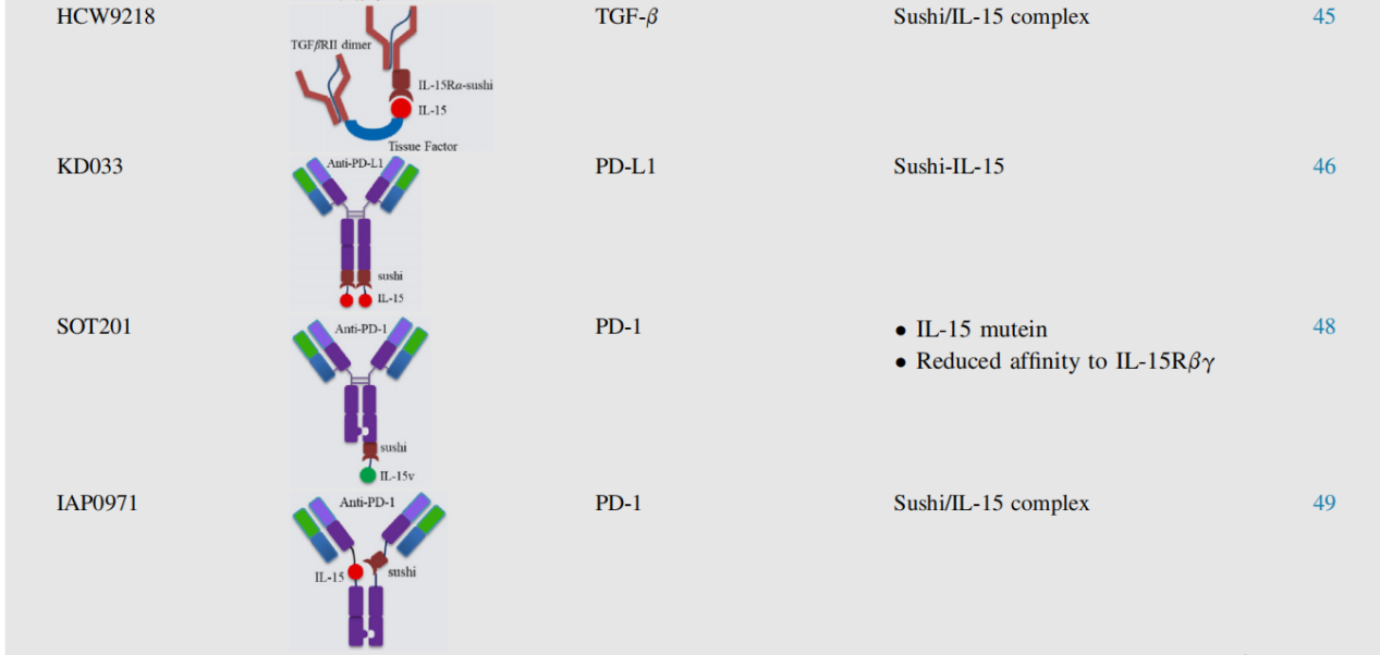 Advancements and challenges in immunocytokines